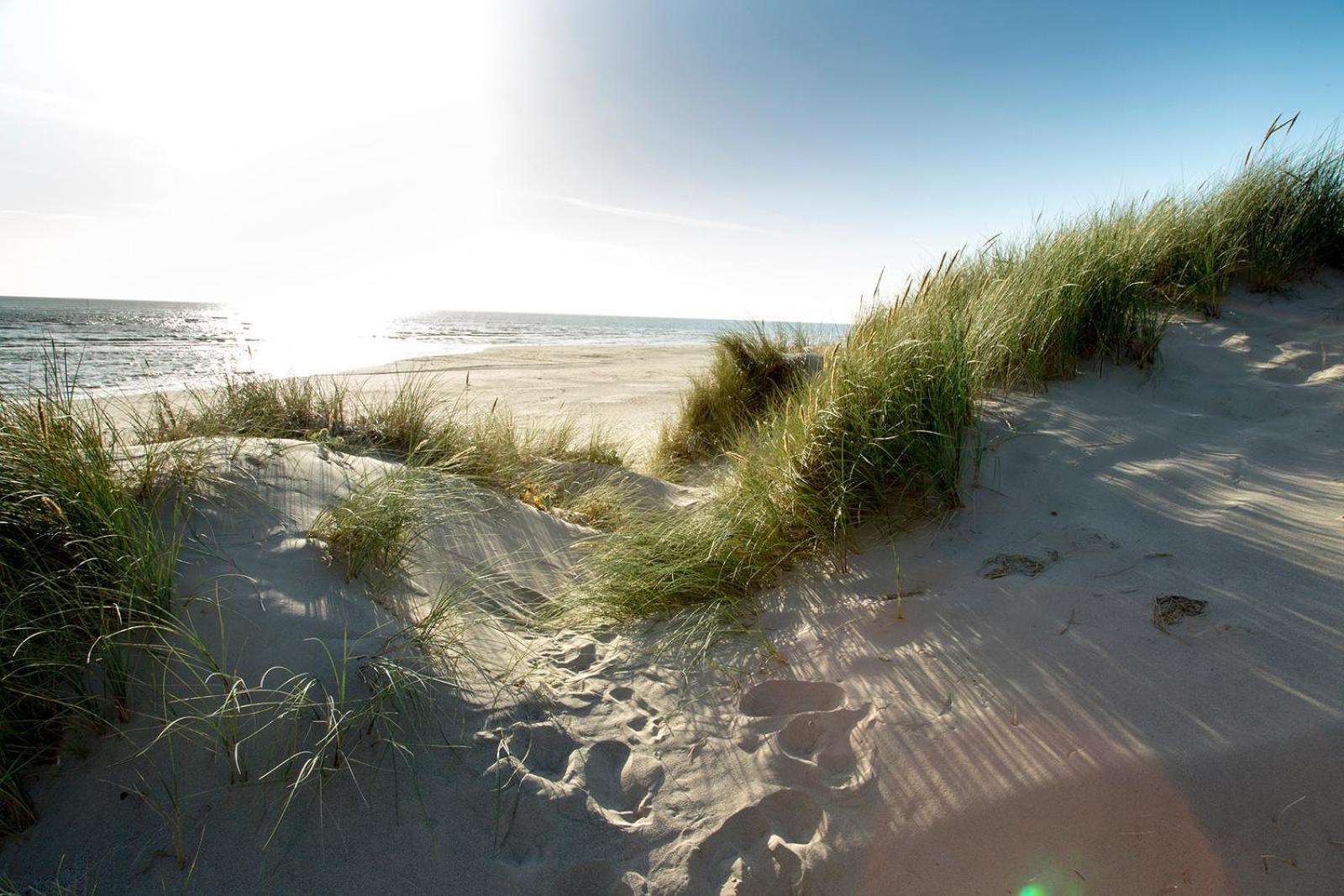 Barmouth Bay Holiday Park Llanddwywe エクステリア 写真
